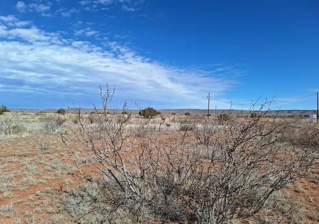 Photo 3 of Land for sale at E Magnolia Rd, Garita, NM 88421 | MLS# 1109275 | Listing updated on 2026-08-18