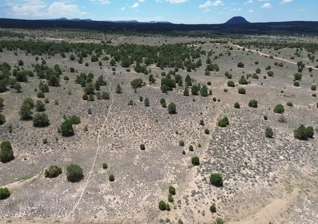 Photo 2 of Land for sale at Lot: 129 Antelope Run Rd, Pie Town, NM 87827 | MLS# 1109388 | Listing updated on 2026-08-19