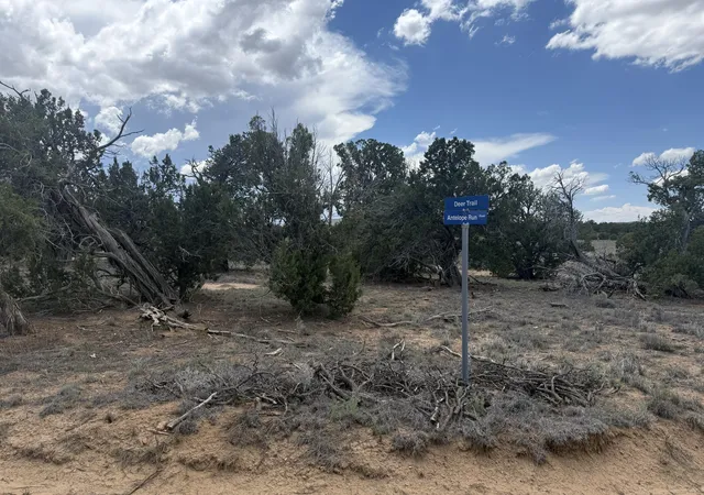 Photo 3 of Land for sale at Lot: 129 Antelope Run Rd, Pie Town, NM 87827 | MLS# 1109388 | Listing updated on 2026-08-19