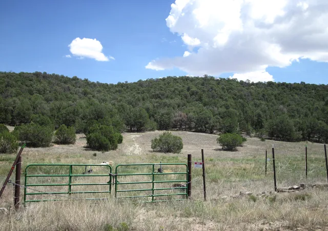 Photo 1 of Land for sale at 40 Pleasant Valley Dr, Edgewood, NM 87015 | MLS# 1109614 | Listing updated on 2026-09-01