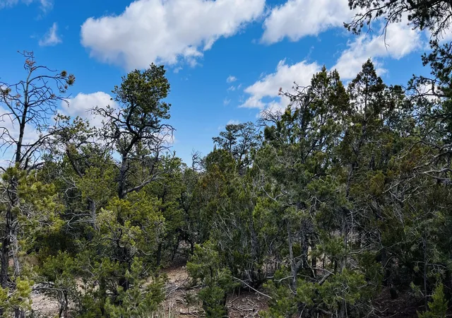 Photo 3 of Land for sale at 18 Larry Ln, Cedar Crest, NM 87008 | MLS# 1109664 | Listing updated on 2026-08-23
