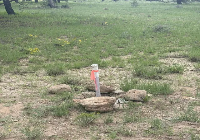 Photo 22 of Land for sale at Lot N 12 Largo Canyon Loop, Quemado, NM 87829 | MLS# 1109713 | Listing updated on 2026-08-23