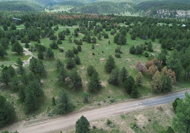 Photo 2 of Land for sale at Lot N 12 Largo Canyon Loop, Quemado, NM 87829 | MLS# 1109713 | Listing updated on 2026-08-23