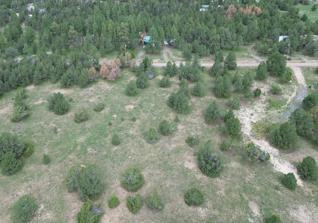 Photo 3 of Land for sale at Lot N 12 Largo Canyon Loop, Quemado, NM 87829 | MLS# 1109713 | Listing updated on 2026-08-23