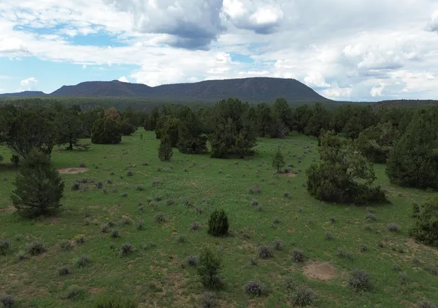 Photo 3 of Land for sale at Lot N-12 Largo Canyon Loop, Quemado, NM 87829 | MLS# 1109713 | Listing updated on 2026-08-23