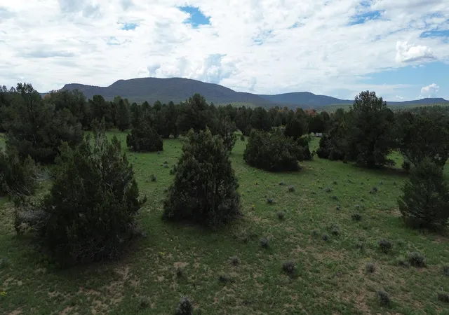 Photo 4 of Land for sale at Lot N-12 Largo Canyon Loop, Quemado, NM 87829 | MLS# 1109713 | Listing updated on 2026-08-23