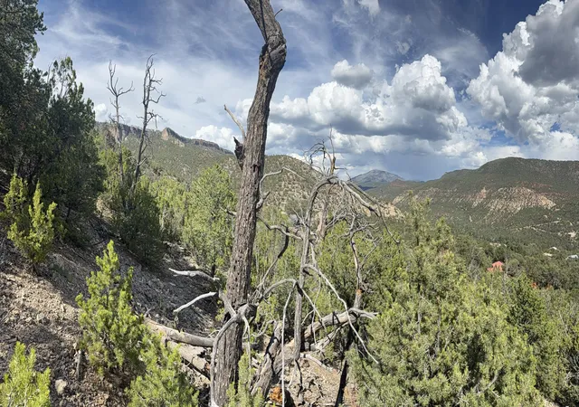 Photo 3 of Land for sale at 000 Banco Bonito Rd #1011107347027, Jemez Springs, NM 87025 | MLS# 1109765 | Listing updated on 2026-08-25