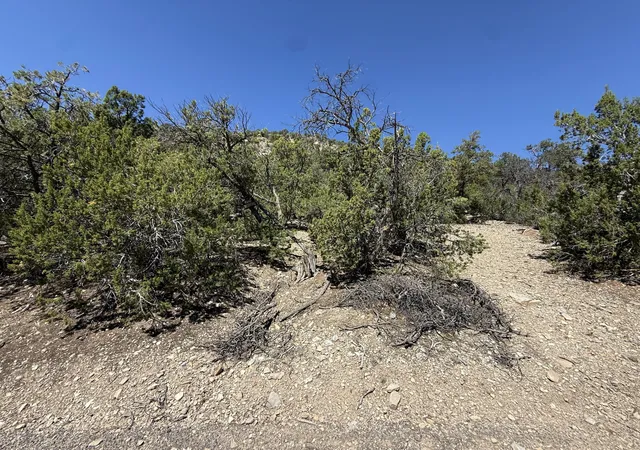 Photo 4 of Land for sale at 000 Banco Bonito Rd #1011107347027, Jemez Springs, NM 87025 | MLS# 1109765 | Listing updated on 2026-08-25