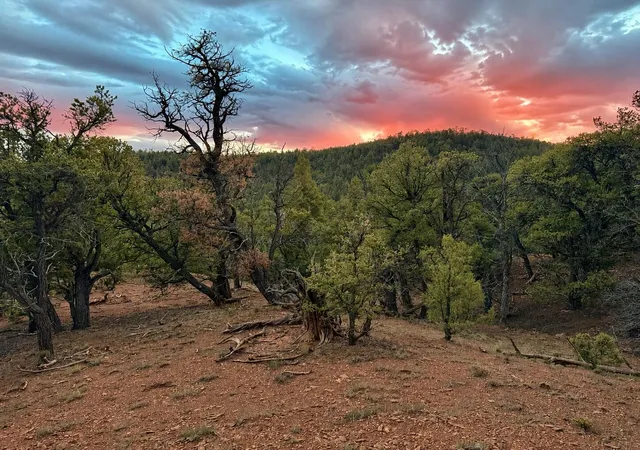 Photo 2 of Land for sale at S11 21205(ac) Venado Crest Rd, Ramah, NM 87321 | MLS# 1109849 | Listing updated on 2026-08-26