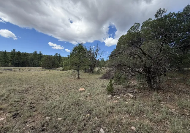 Photo 1 of Sale Pending at 20 Katy Ln, Mountainair, NM 87036 | MLS# 1109990 | Listing updated on 2026-08-28