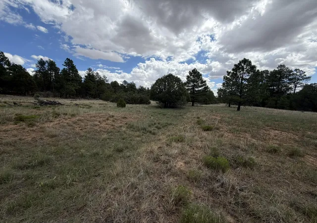 Photo 3 of Sale Pending at 20 Katy Ln, Mountainair, NM 87036 | MLS# 1109990 | Listing updated on 2026-08-28
