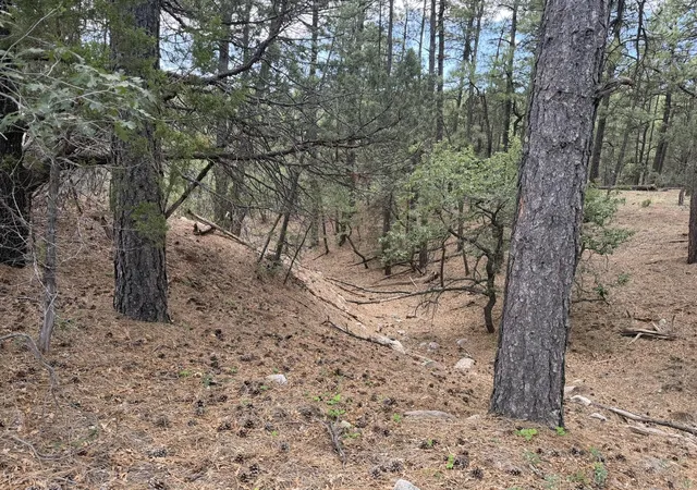 Photo 4 of Sale Pending at 20 Katy Ln, Mountainair, NM 87036 | MLS# 1109990 | Listing updated on 2026-08-28