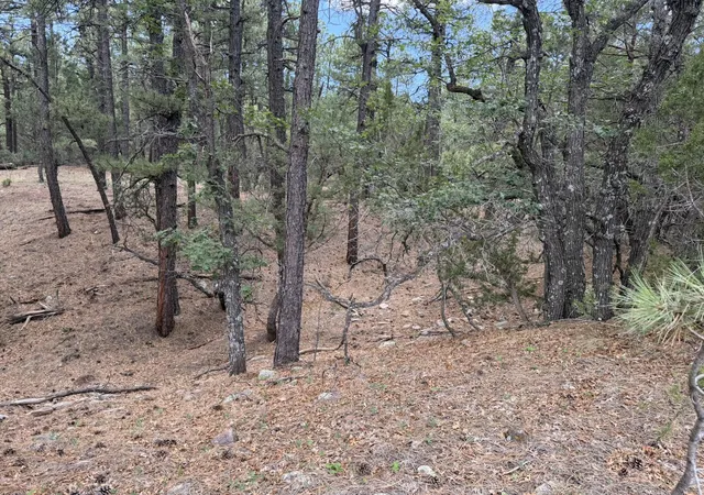 Photo 5 of Sale Pending at 20 Katy Ln, Mountainair, NM 87036 | MLS# 1109990 | Listing updated on 2026-08-28