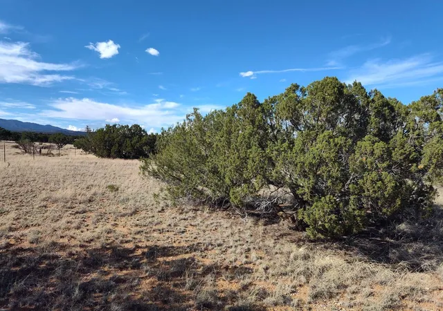 Photo 3 of Land for sale at Old Abo Trl, Mountainair, NM 87036 | MLS# 1110011 | Listing updated on 2026-08-28