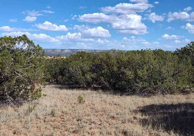 Photo 4 of Land for sale at Old Abo Trl, Mountainair, NM 87036 | MLS# 1110011 | Listing updated on 2026-08-28