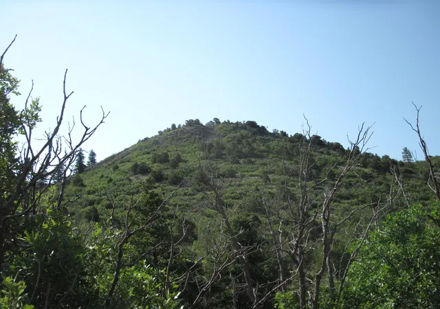 Photo 2 of Land for sale at 294 Ranchitos Rd, Sandia Park, NM 87047 | MLS# 1110014 | Listing updated on 2026-08-28