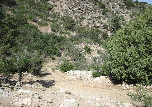 Photo 3 of Land for sale at 294 Ranchitos Rd, Sandia Park, NM 87047 | MLS# 1110014 | Listing updated on 2026-08-28