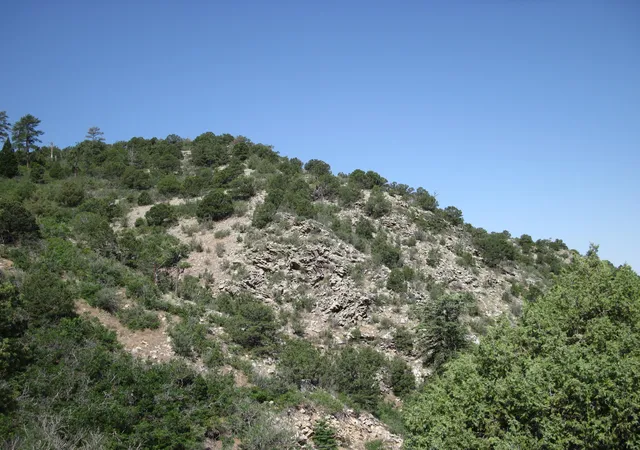 Photo 4 of Land for sale at 294 Ranchitos Rd, Sandia Park, NM 87047 | MLS# 1110014 | Listing updated on 2026-08-28