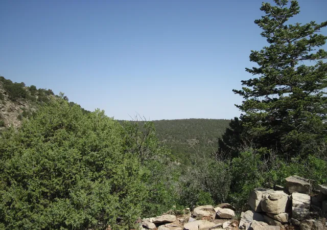 Photo 5 of Land for sale at 294 Ranchitos Rd, Sandia Park, NM 87047 | MLS# 1110014 | Listing updated on 2026-08-28
