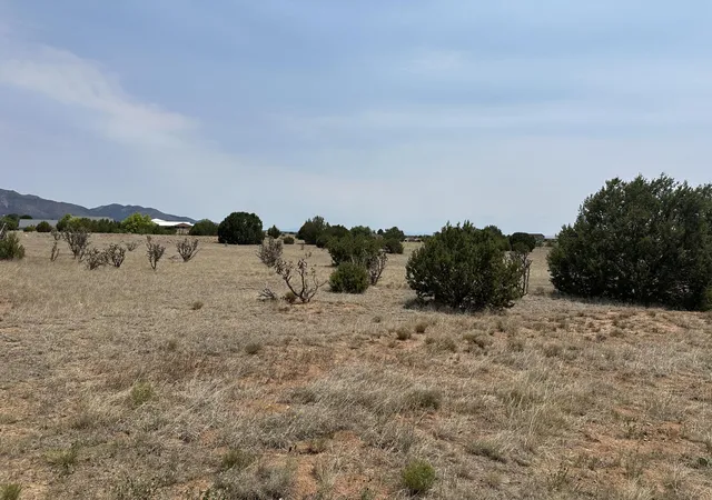 Photo 3 of Land for sale at 23 Joe Mae Rd, Edgewood, NM 87015 | MLS# 1110181 | Listing updated on 2026-09-01