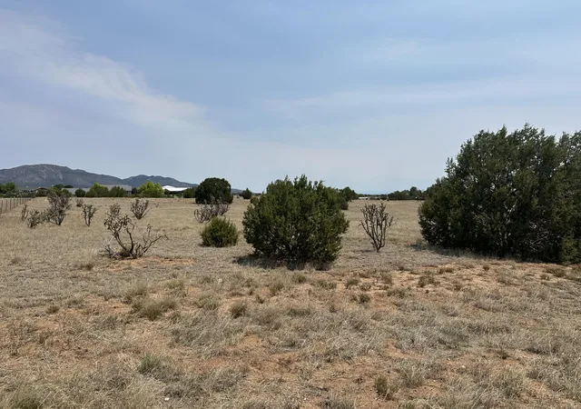 Photo 4 of Land for sale at 23 Joe Mae Rd, Edgewood, NM 87015 | MLS# 1110181 | Listing updated on 2026-09-01