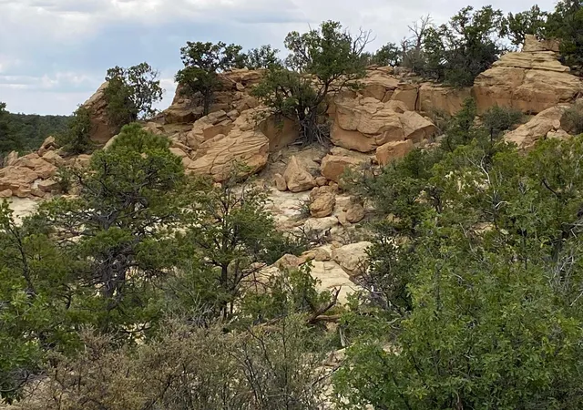 Photo 1 of Land for sale at Lots 10 11 Old Well Rd, Ramah, NM 87321 | MLS# 1111670 | Listing updated on 2026-09-29