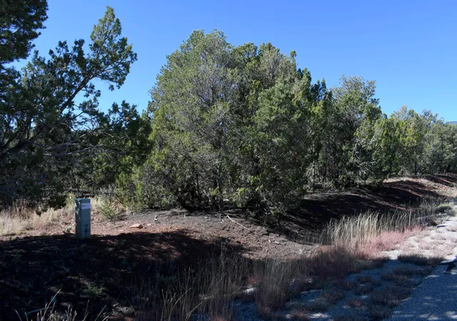 Photo 3 of Land for sale at 4 Anasazi Ct, Sandia Park, NM 87047 | MLS# 1111684 | Listing updated on 2026-09-29