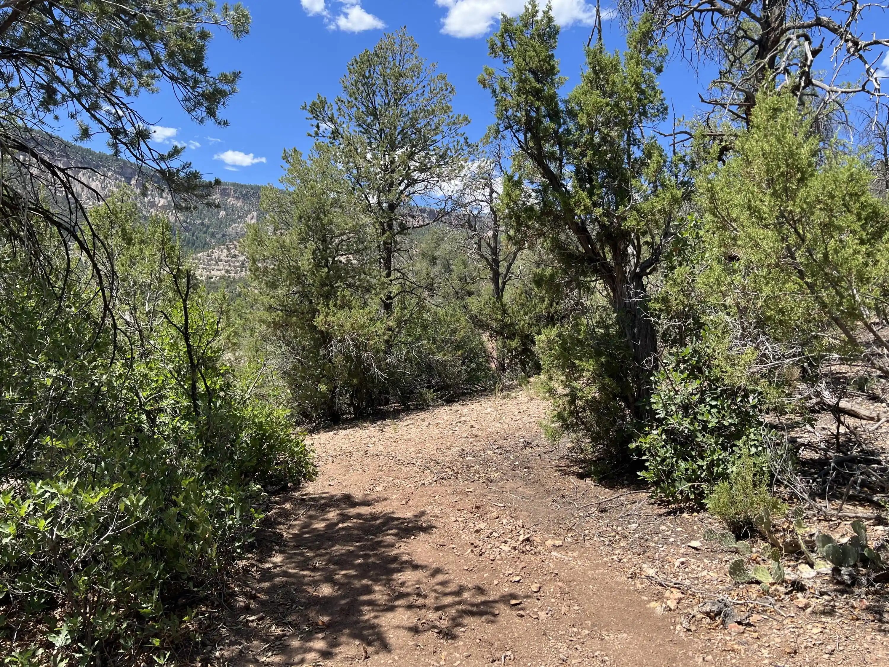 Photo 1 of Land for sale at 1a3 Calle Pinon, Jemez Springs, NM 87025 | MLS# 1112311 | Listing updated on 2026-10-10