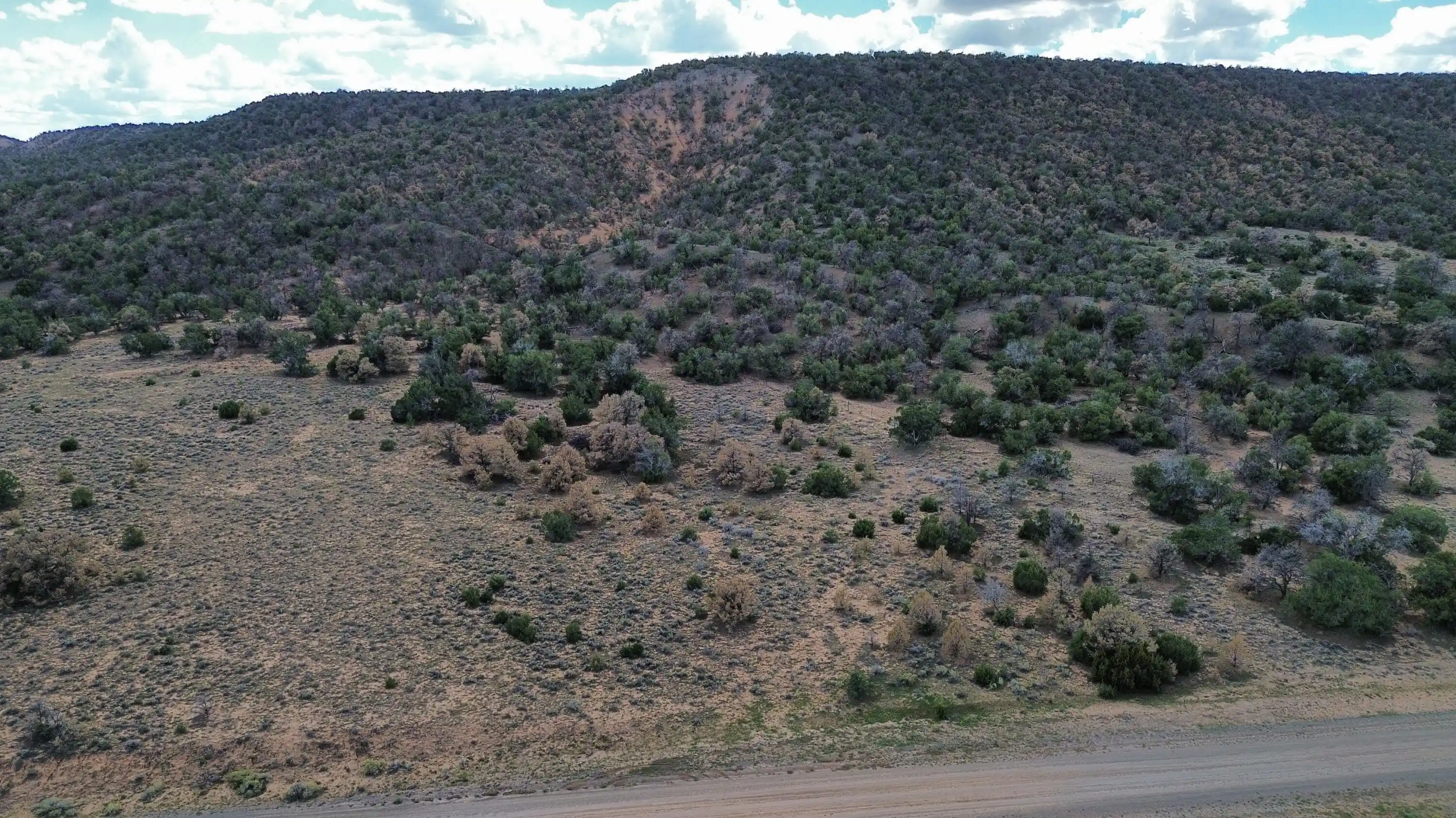 Land for sale at Lot 1 Nm 603, Pie Town, NM 87827 | MLS# 1112325