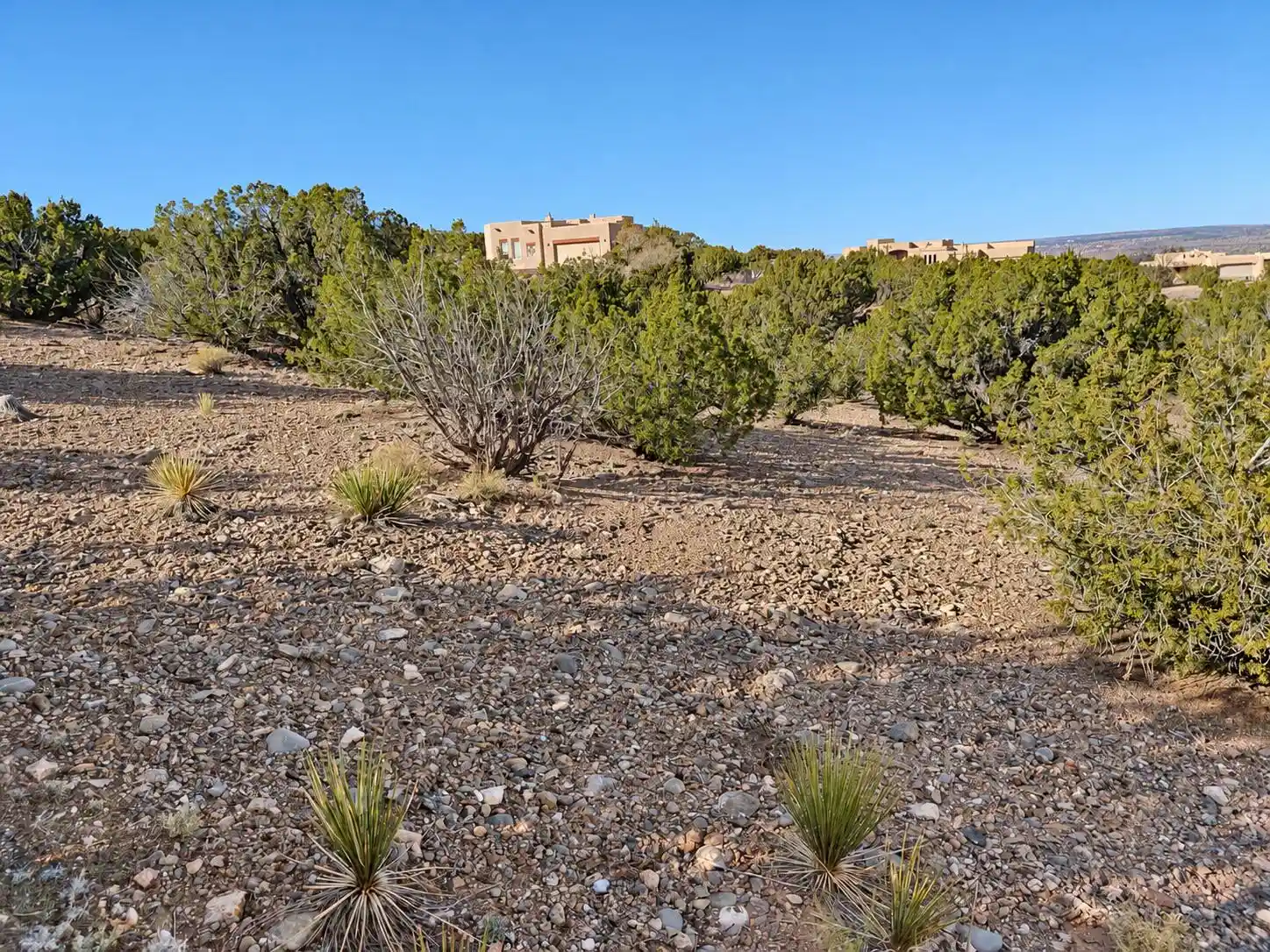 Photo 1 of Land for sale at 74 Desert Mountain Rd, Placitas, NM 87043 | MLS# 1112327 | Listing updated on 2026-10-11