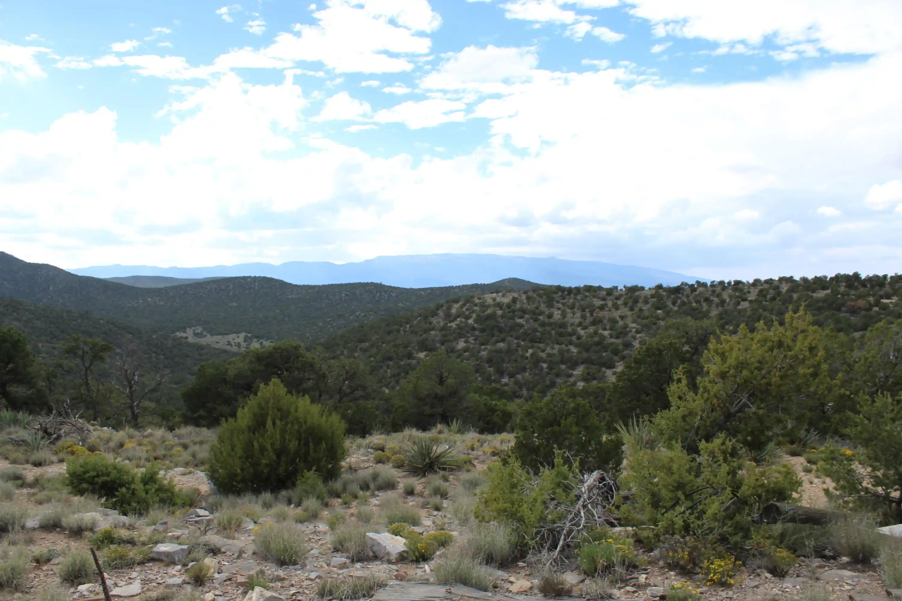Land for sale at 0 Ranchitos Rd, Sandia Park, NM 87047 | MLS# 1112711