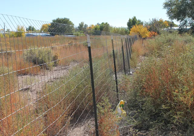 2nd image of Ebler, Socorro, NM 87801 | MLS# 905173