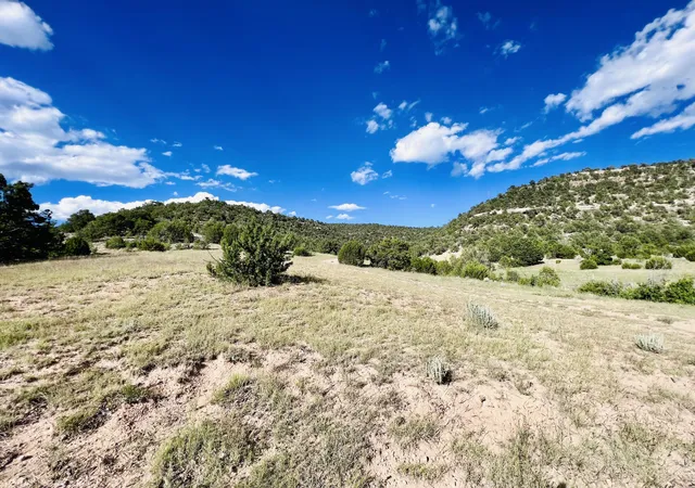 2nd image of 642 Co Rd B43b, Ilfeld, NM 87538 | MLS# 939320
