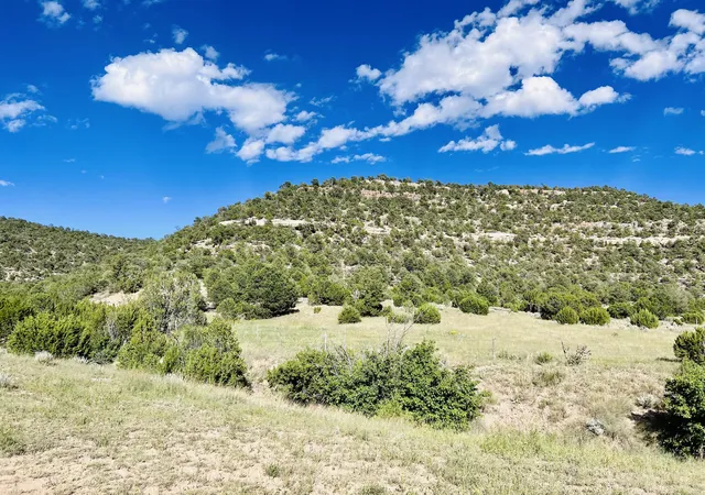 4th image of 642 Co Rd B43B, Ilfeld, NM 87538 | MLS# 939320