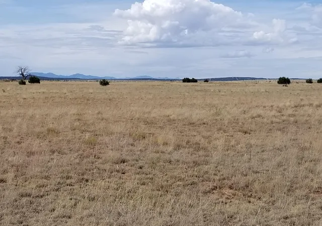 Photo 1 of Land for sale at 40 Giruado Rd, Estancia, NM 87016 | MLS# 951842 | Listing updated on 2026-07-21