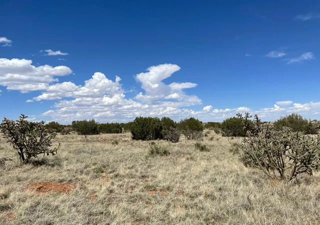 1st image of Lots 10 & 1, Manzano, NM 87016 | MLS# 992570