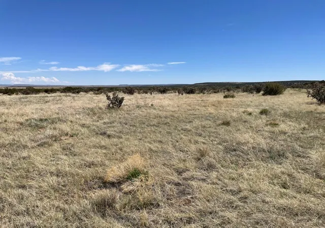 Photo 4 of Land for sale at Lots 10 & 1, Manzano, NM 87016 | MLS# 992570 | Listing updated on 2026-07-21