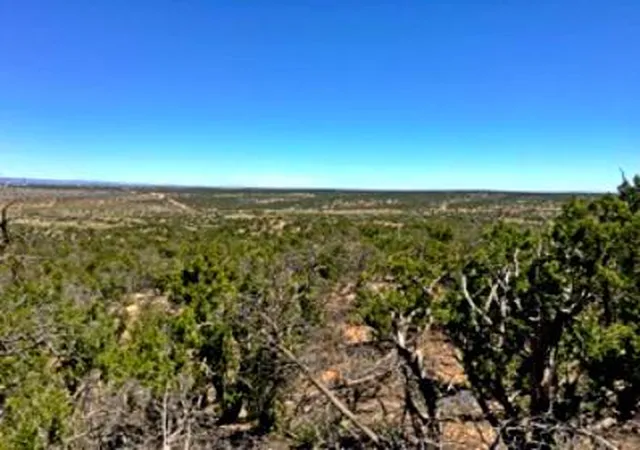 Photo 2 of Land for sale at 1158 Deer Canyon Trl, Mountainair, NM 87036 | MLS# 994528 | Listing updated on 2026-05-18