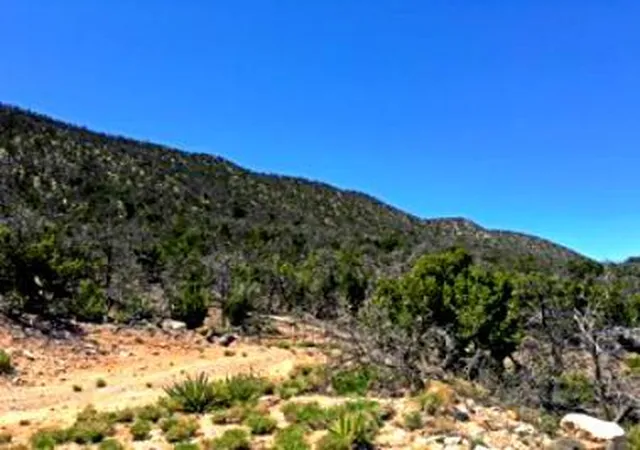 Photo 3 of Land for sale at 1158 Deer Canyon Trl, Mountainair, NM 87036 | MLS# 994528 | Listing updated on 2026-05-18