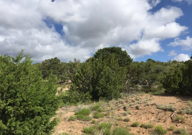 Photo 1 of Land for sale at 84 Rain Dance Rd, Sandia Park, NM 87047 | MLS# 1001151 | Listing updated on 2026-07-21