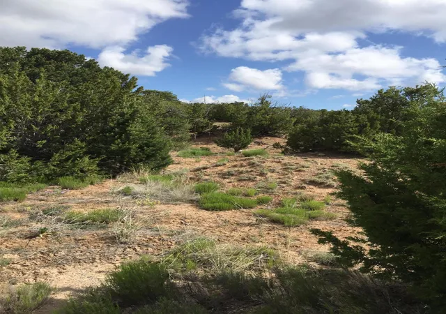 Photo 2 of Land for sale at 84 Rain Dance Rd, Sandia Park, NM 87047 | MLS# 1001151 | Listing updated on 2026-07-21