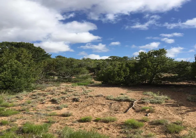 Photo 2 of Land for sale at 84 Rain Dance Rd, Sandia Park, NM 87047 | MLS# 1001151 | Listing updated on 2026-07-21