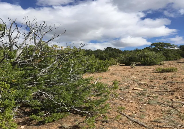 Photo 3 of Land for sale at 84 Rain Dance Rd, Sandia Park, NM 87047 | MLS# 1001151 | Listing updated on 2026-07-21