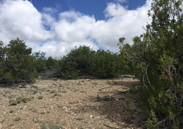 Photo 4 of Land for sale at 84 Rain Dance Rd, Sandia Park, NM 87047 | MLS# 1001151 | Listing updated on 2026-07-21