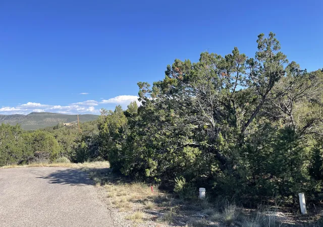 Photo 2 of Land for sale at 55 Canyon Ridge Dr, Sandia Park, NM 87047 | MLS# 1001164 | Listing updated on 2026-07-21