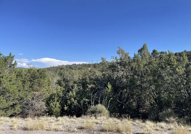 Photo 2 of Land for sale at 55 Canyon Ridge Dr, Sandia Park, NM 87047 | MLS# 1001164 | Listing updated on 2026-07-21