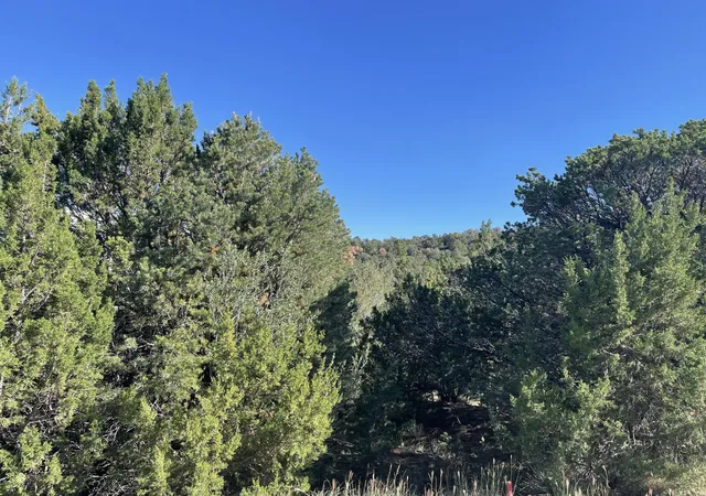 Photo 3 of Land for sale at 55 Canyon Ridge Dr, Sandia Park, NM 87047 | MLS# 1001164 | Listing updated on 2026-07-21