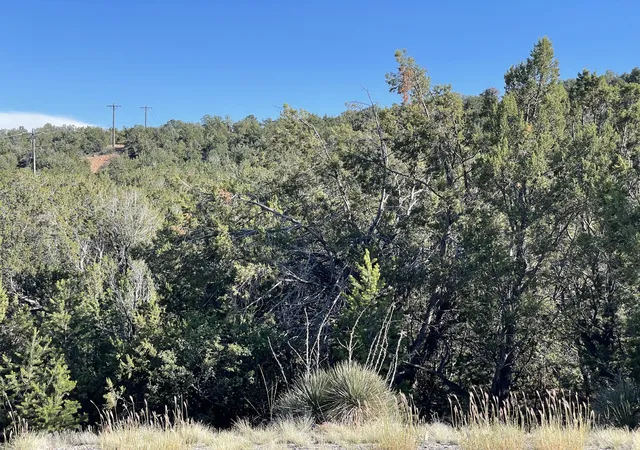 Photo 4 of Land for sale at 55 Canyon Ridge Dr, Sandia Park, NM 87047 | MLS# 1001164 | Listing updated on 2026-07-21