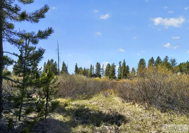 3rd image of 4047 Kickapoo Circle, Island Park, ID 83429 | MLS# 2186274