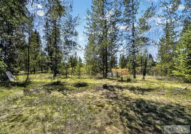 5th image of 4047 Kickapoo Circle, Island Park, ID 83429 | MLS# 2186274